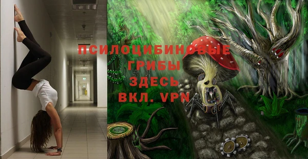 Альфа ПВП Алексин